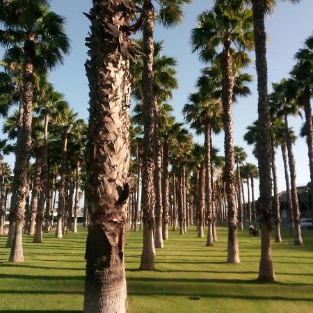 פלאייה דל אינגלז Apartamento Garland Agaete Parque מראה חיצוני תמונה